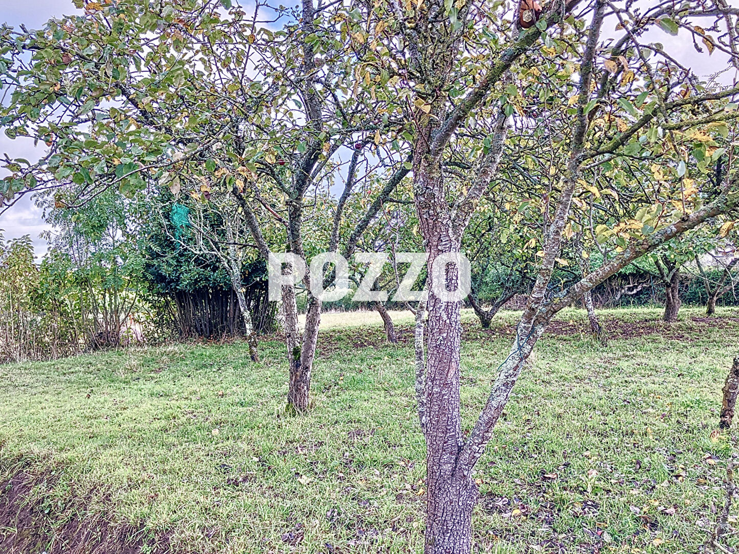 Photo A VENDRE.  TERRAIN A BATIR. 390M² . SAINT AMAND VILLAGES. image 3/3