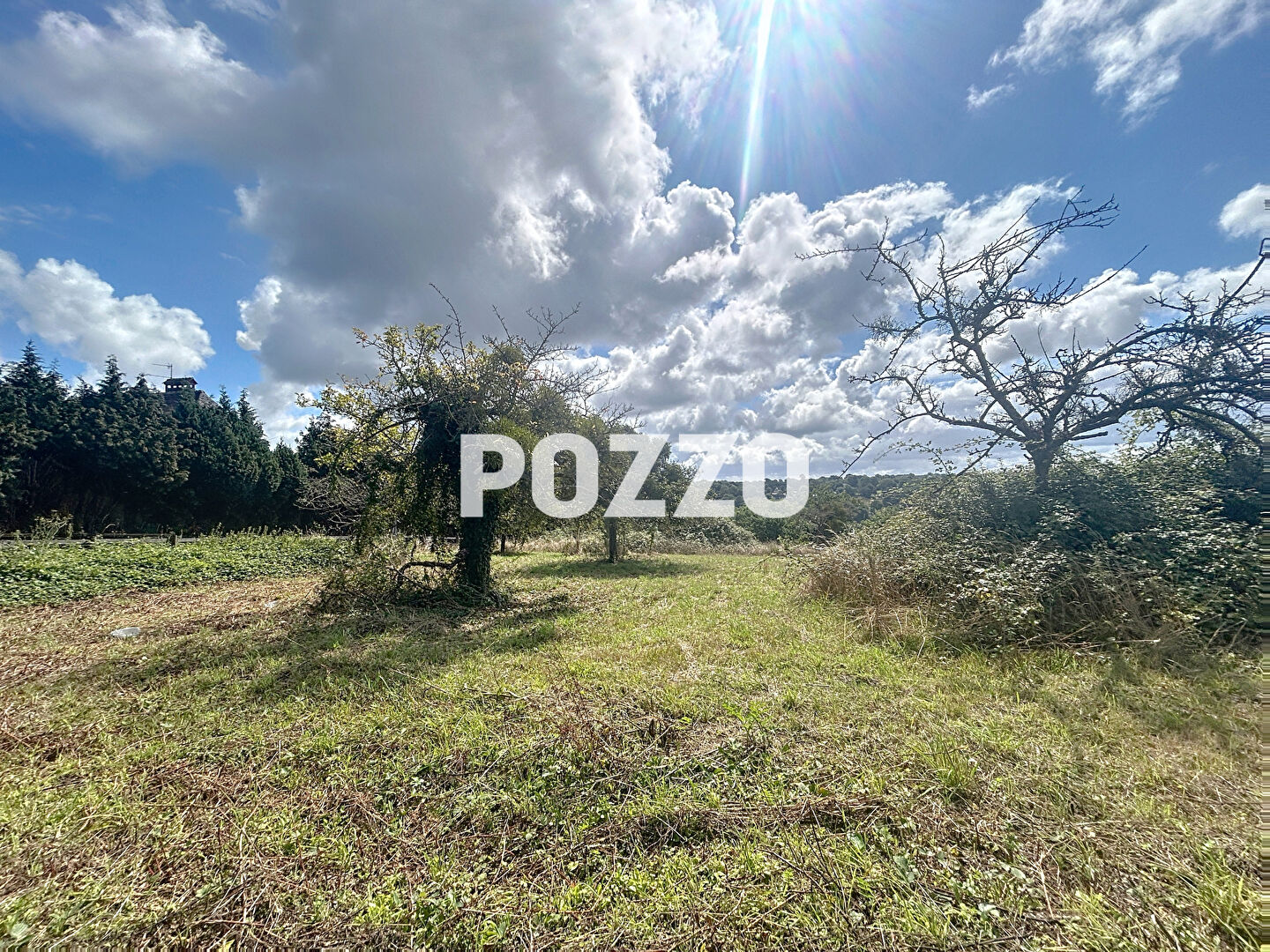 Agence immobilière de 
 Agence Pozzo-immobilier - Pozzo Immobilier Honfleur 
