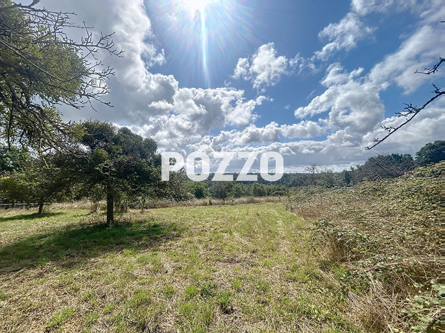 Photo Terrain Equemauville 1205 m2 image 2/3