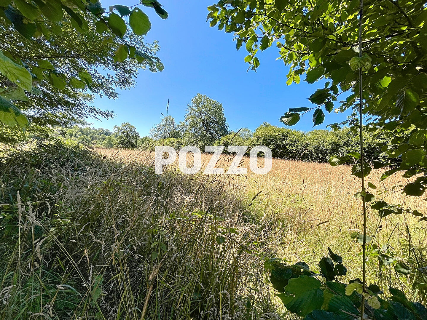 Photo Terrain agricole Villedieu Les Poeles Rouffigny 14983 m2 image 2/3