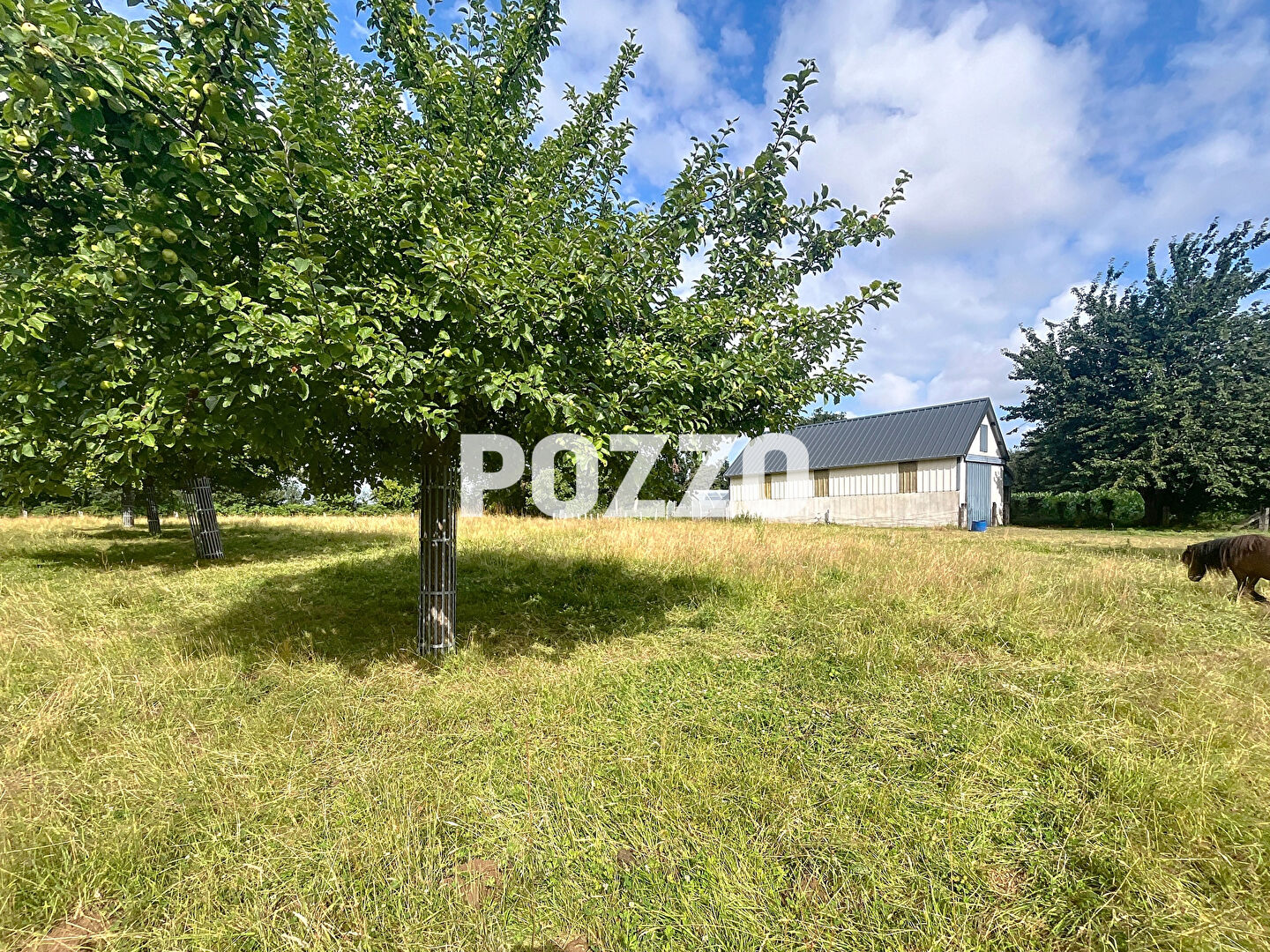 Agence immobilière de Agence Pozzo-immobilier - Pozzo immobilier St Pair sur Mer