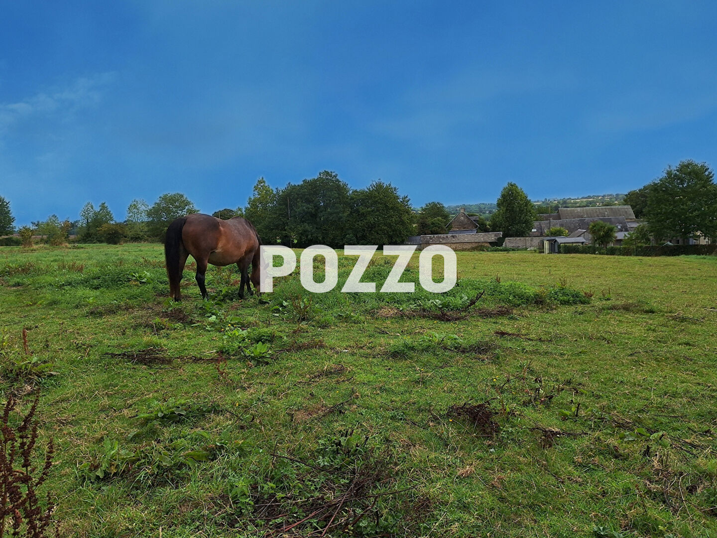 Agence immobilière de Agence Pozzo Immobilier Villers
