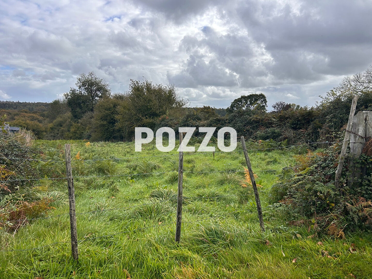 Photo Terrain à bâtir - Saint Jean Des Champs 3136 m2  - A 10 kms de Granville image 2/3