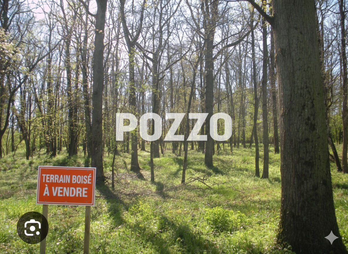 Terrain entièrement boisé de 23 578 m²- ORVAL SUR SIENNE (50)