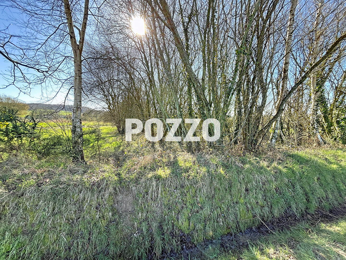 Agence immobilière de Agence Pozzo-immobilier - Pozzo Trouverie Villedieu Les Poêles