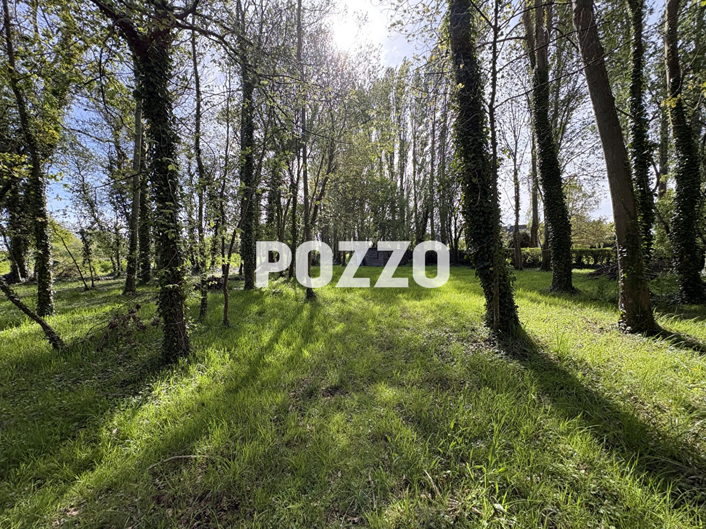 Agence immobilière de Agence Pozzo-immobilier - POZZO IMMOBILIER - ST MARTIN DE BREHAL