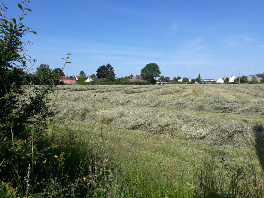 Photo Terrain Saint Germer De Fly image 1/1