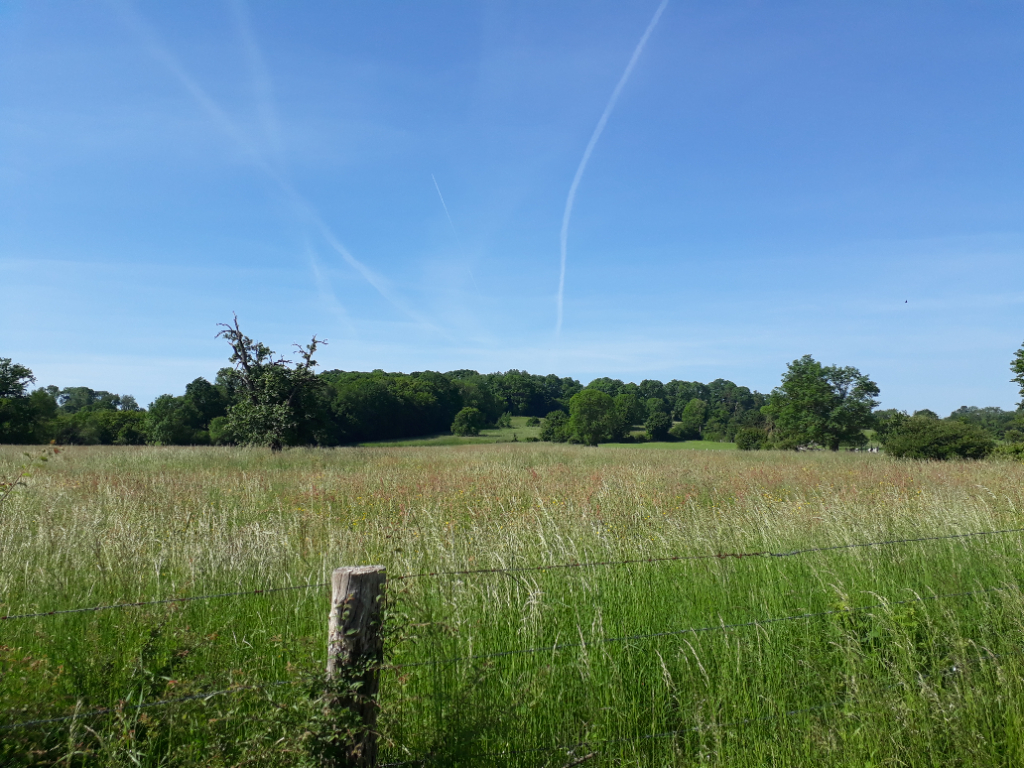 Photo PROCHE DE LACHAPELLE AUX POTS image 2/3