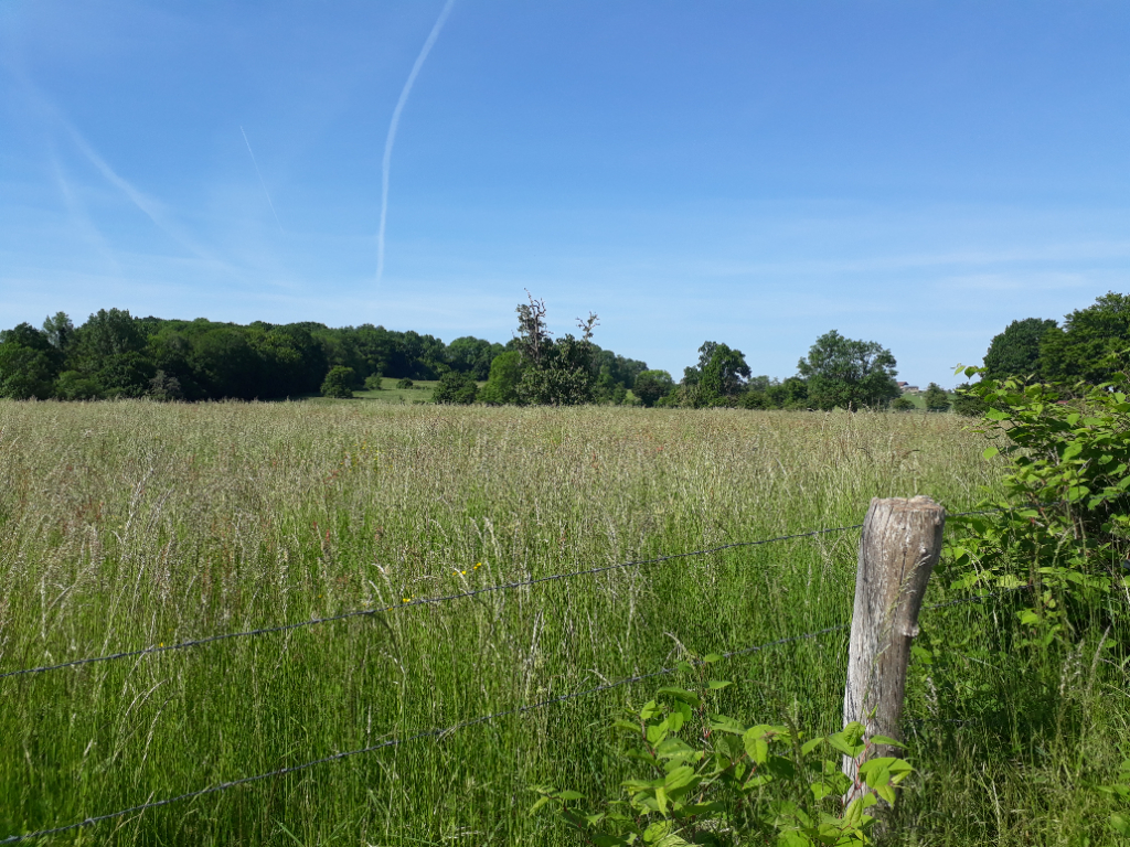 TAB 1138M² - SECTEUR LACHAPELLE AUX POTS