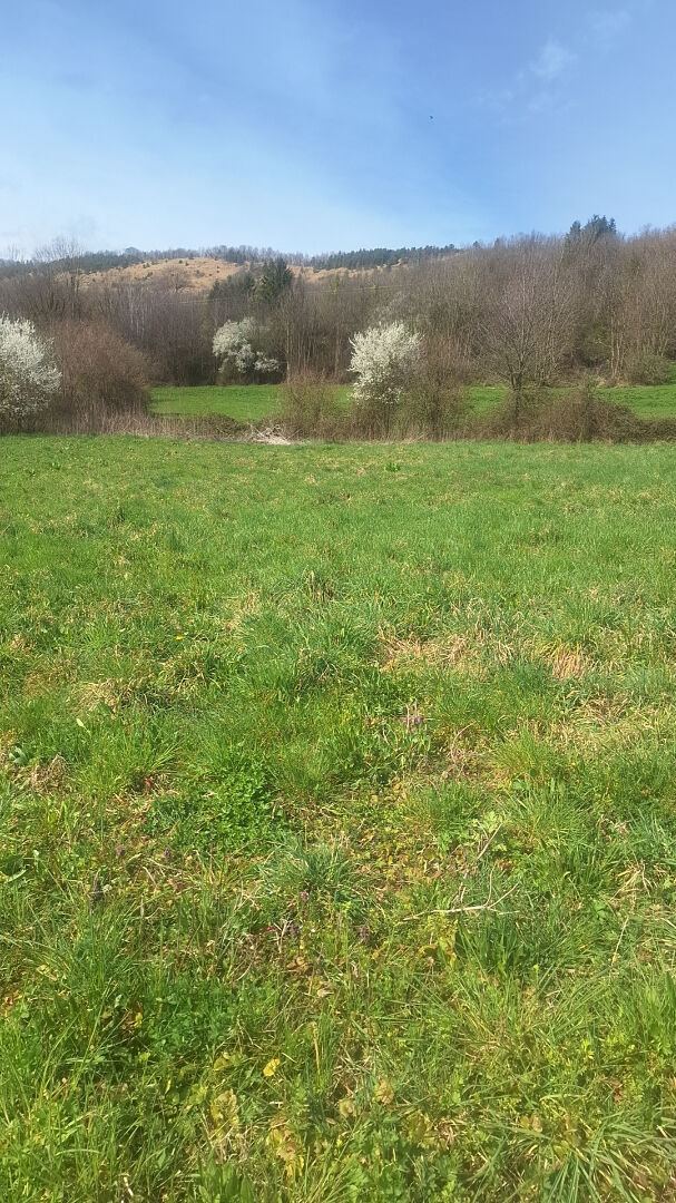 Photo Terrain constructible image 3/6