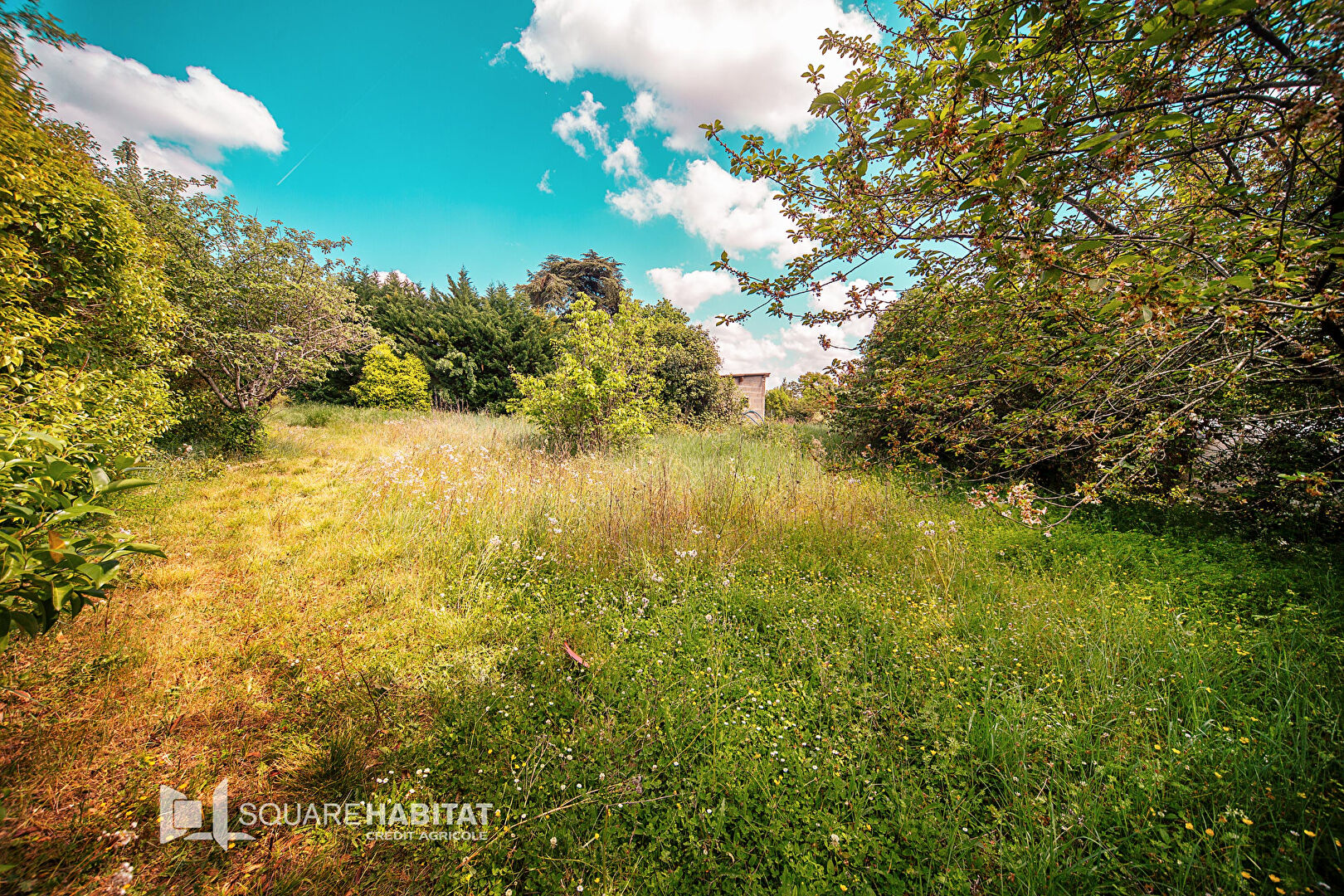 Terrain Verdun Sur Garonne 1002 m2