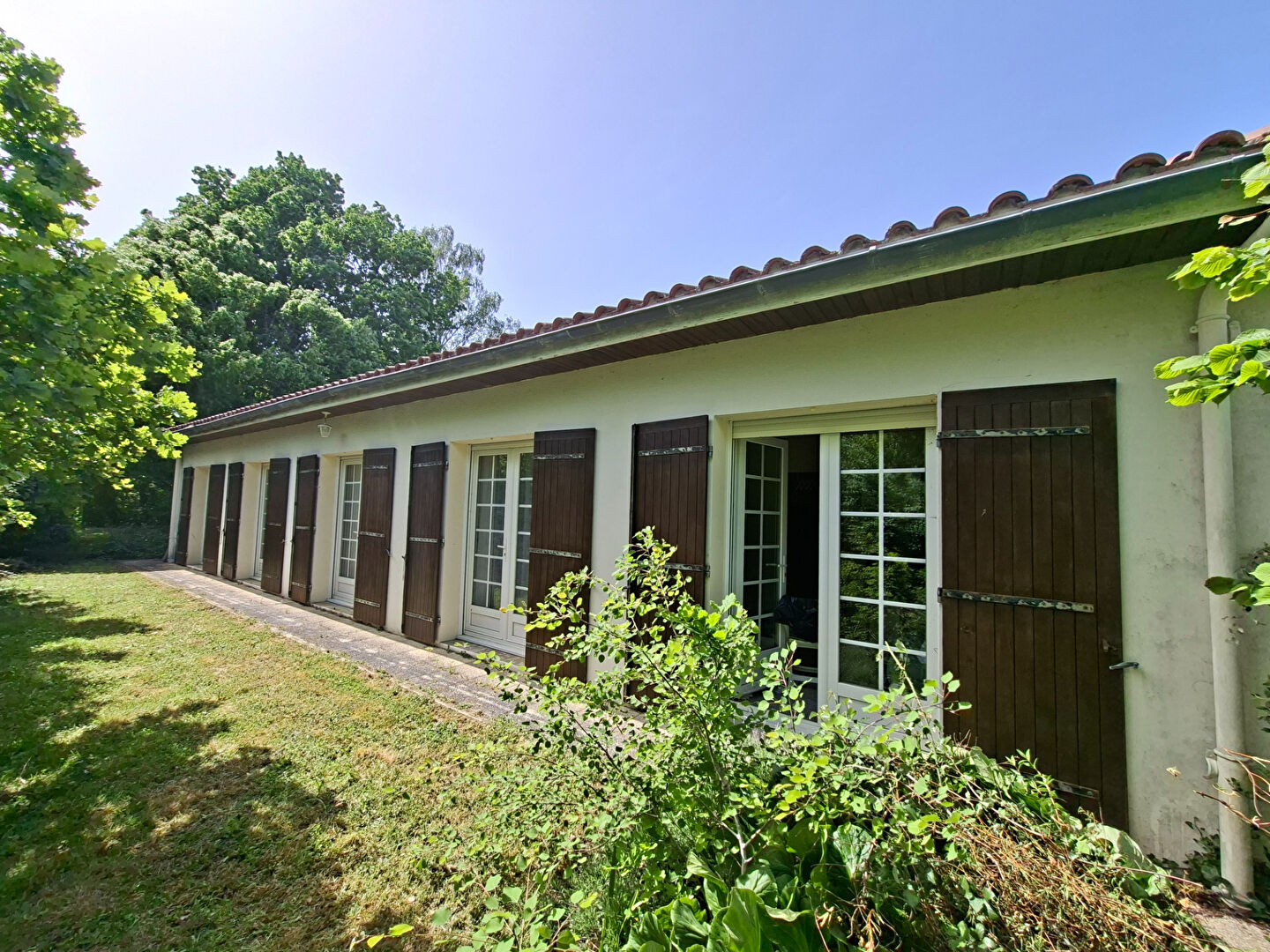 Et si votre prochain coup de coeur se trouvait au milieu des bois ?