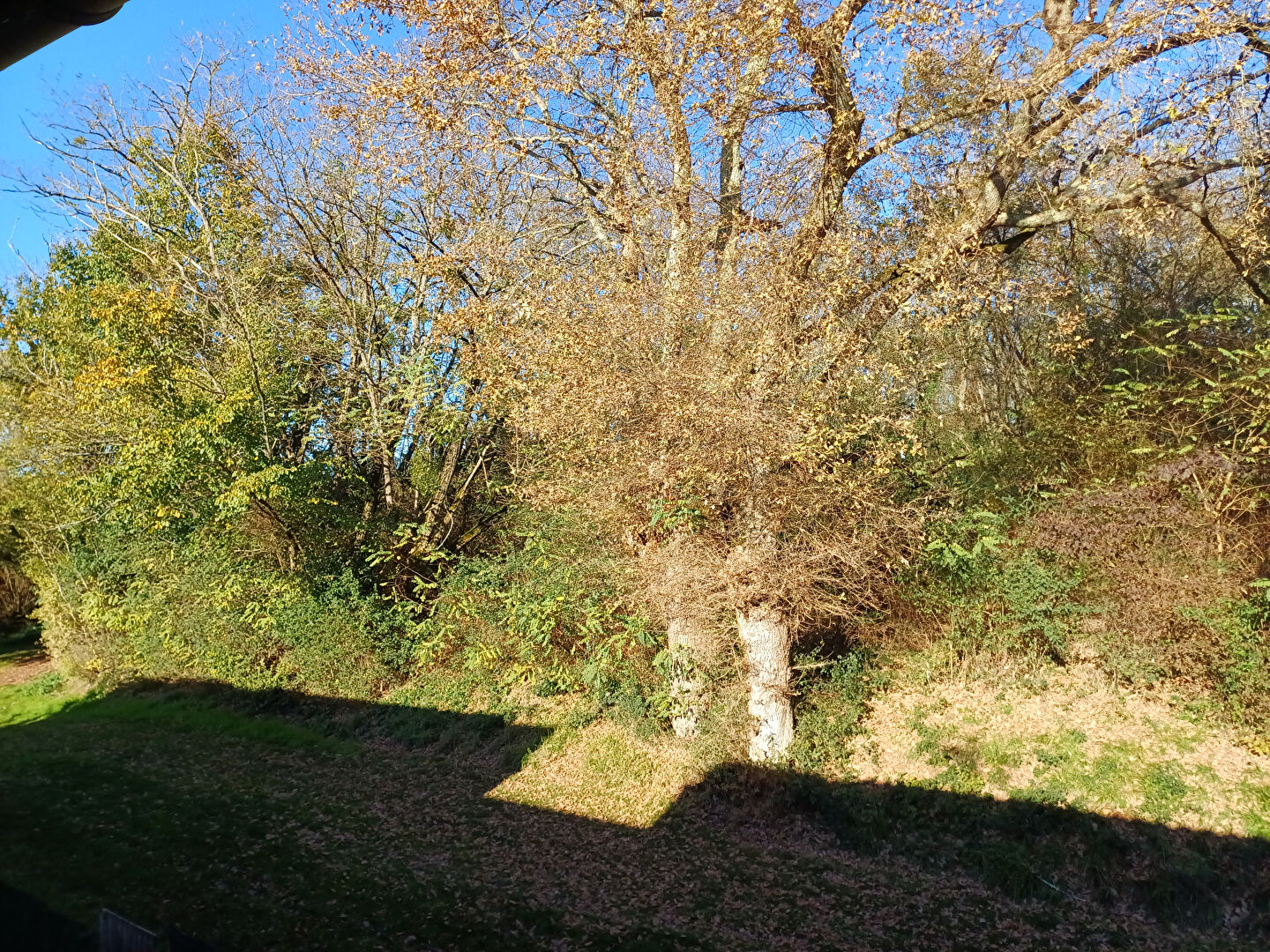 
Appartement Barbotan Les Thermes 1 pièce(s) 23.73 m2
 Photo du bien 3 