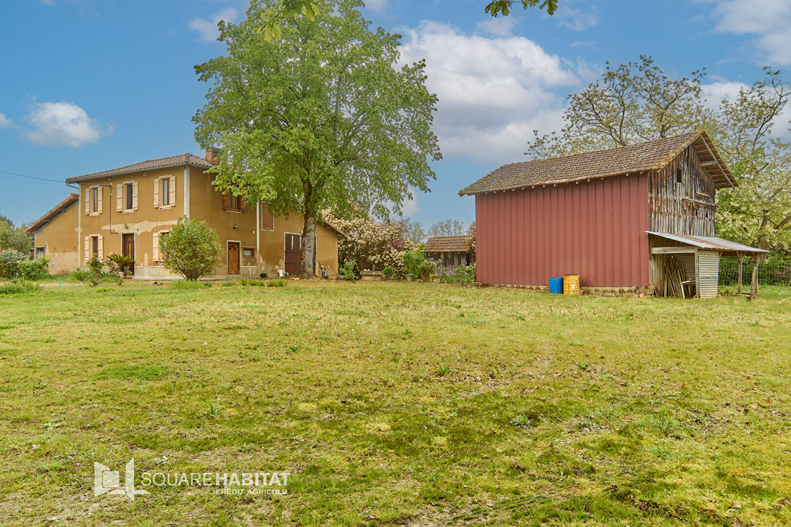 
Maison avec dépendances sur grand terrain ? Commune de Maupas
 Photo du bien 7 