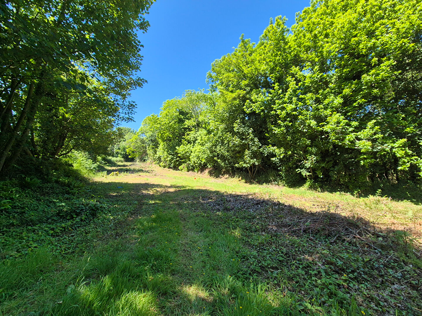Terrain constructible Perros Guirec (22700) 487 m2