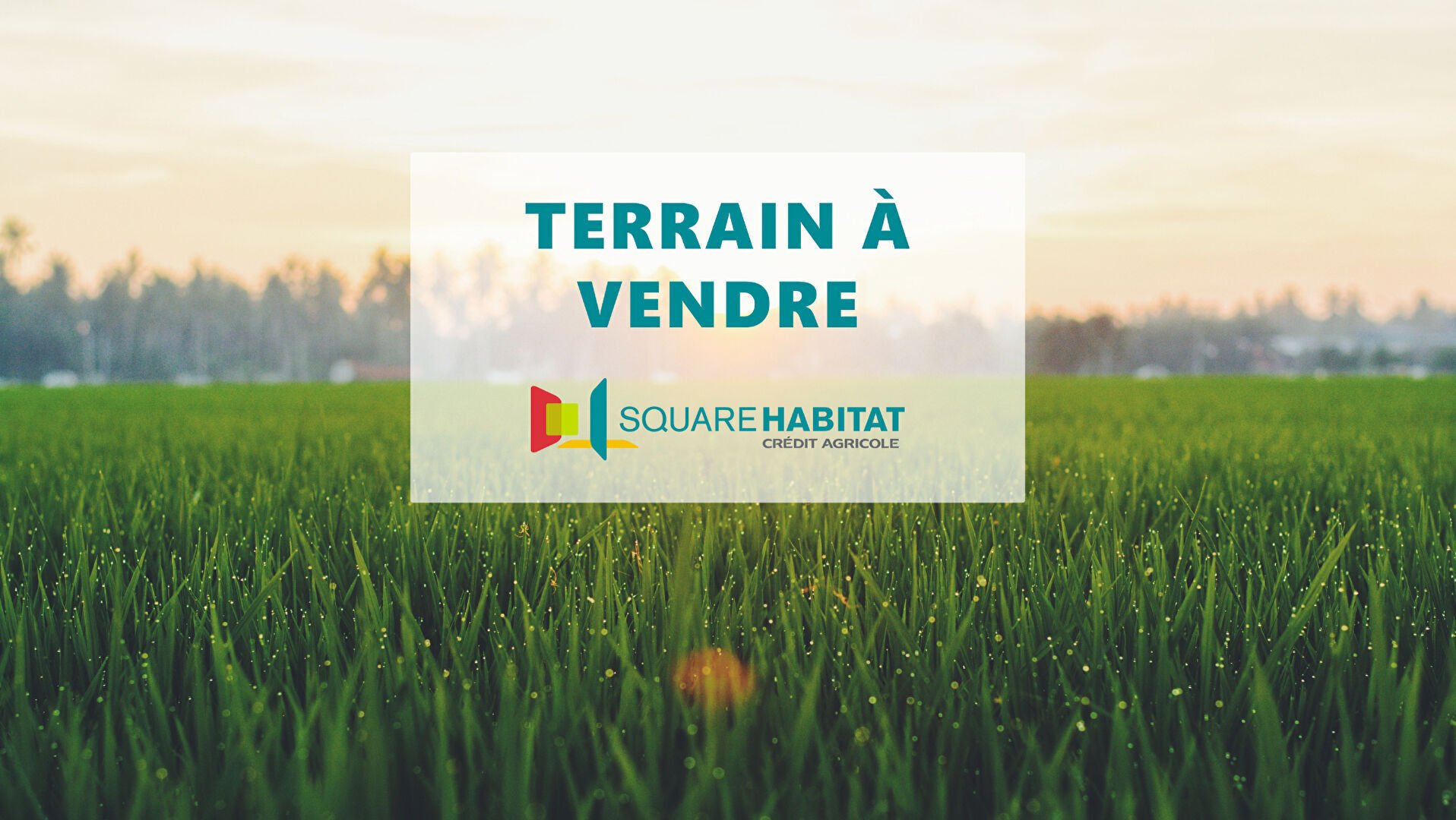 Terrain constructible St Lunaire