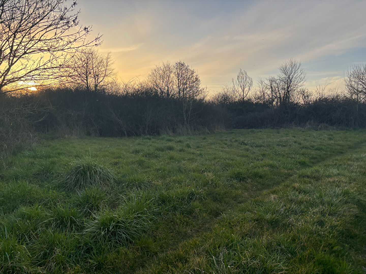 Diverses parcelles en nature de terre et taillis à LEIGNE LES BOIS