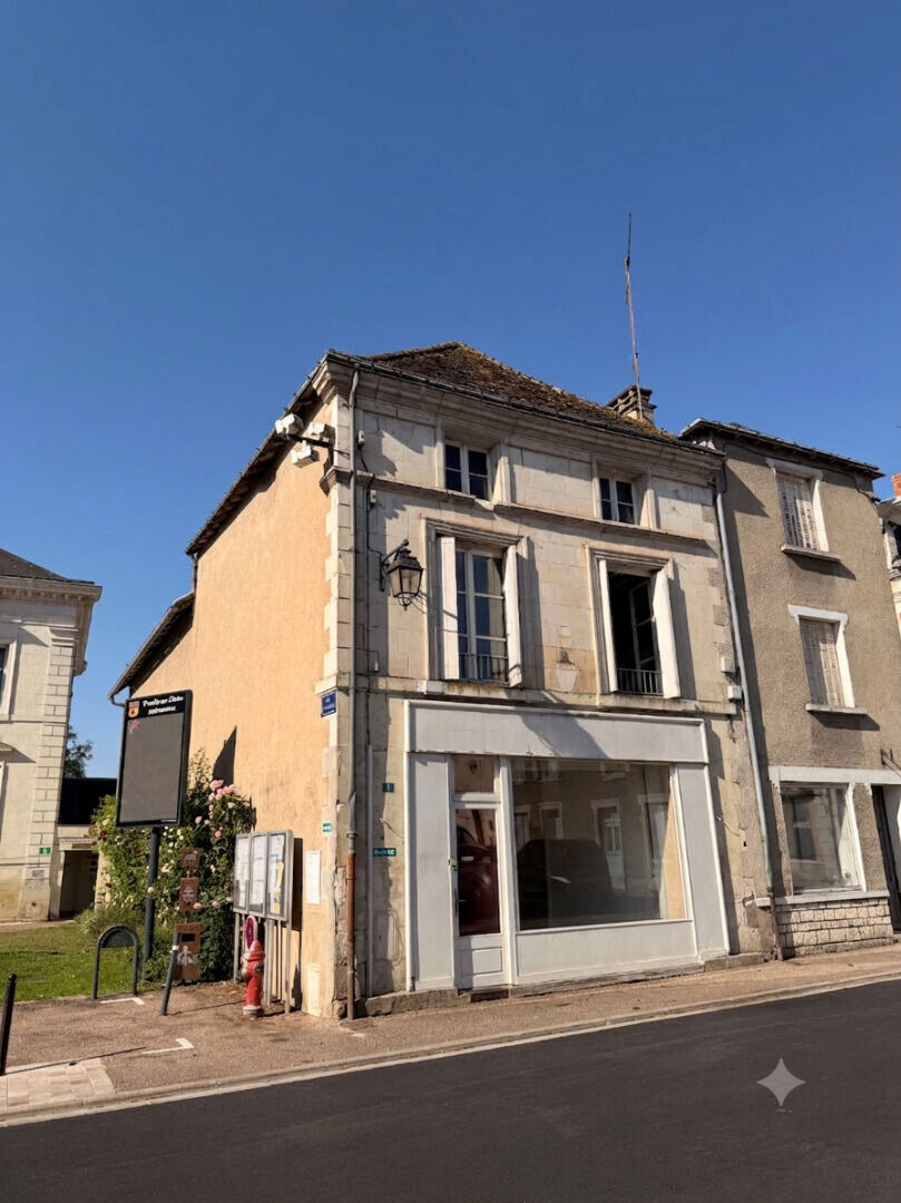Maison Preuilly Sur Claise 8 pièce(s) 201.6 m²