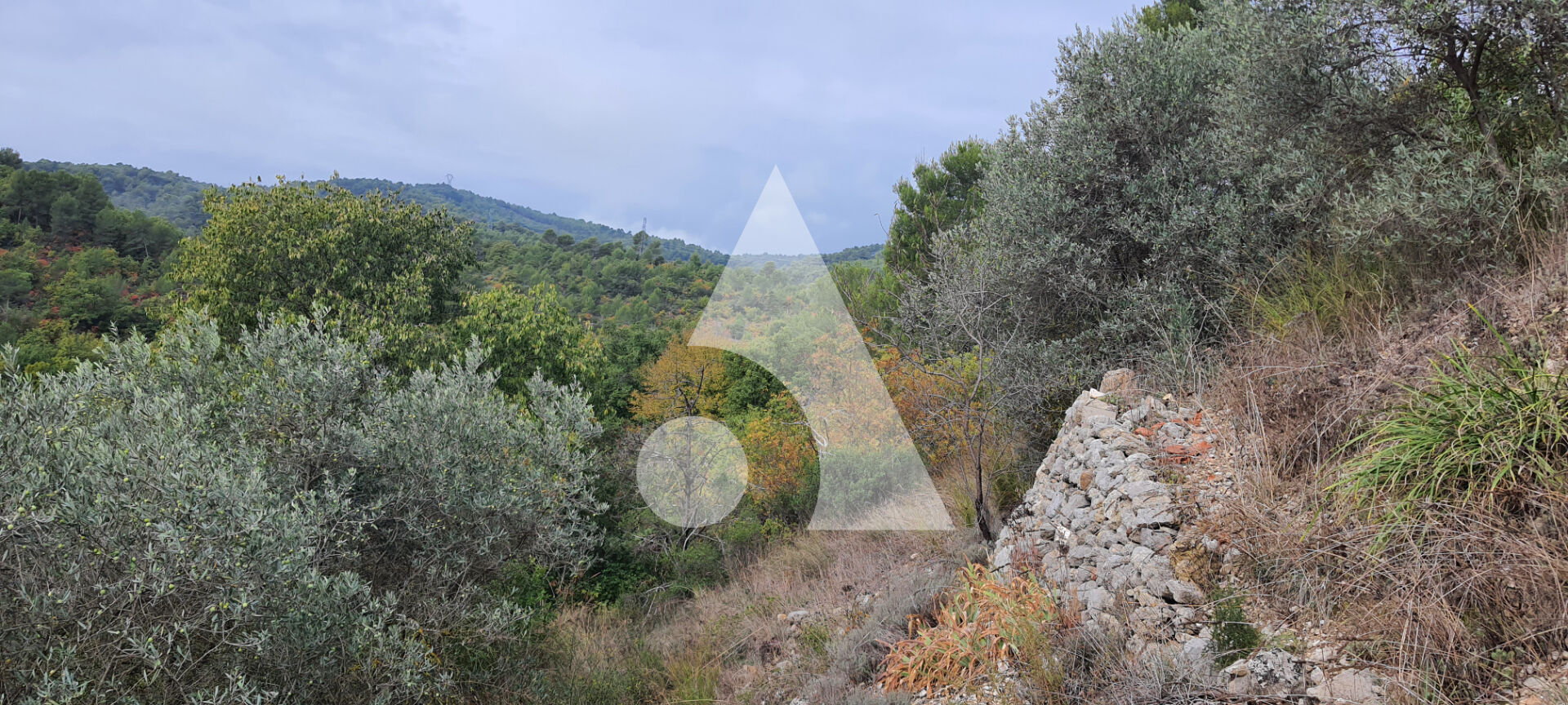 TERRAINS CONSTRUCTIBLES DE 1015m² LUMINEUX EXPOSES SUD OUEST SANS VIS A VIS