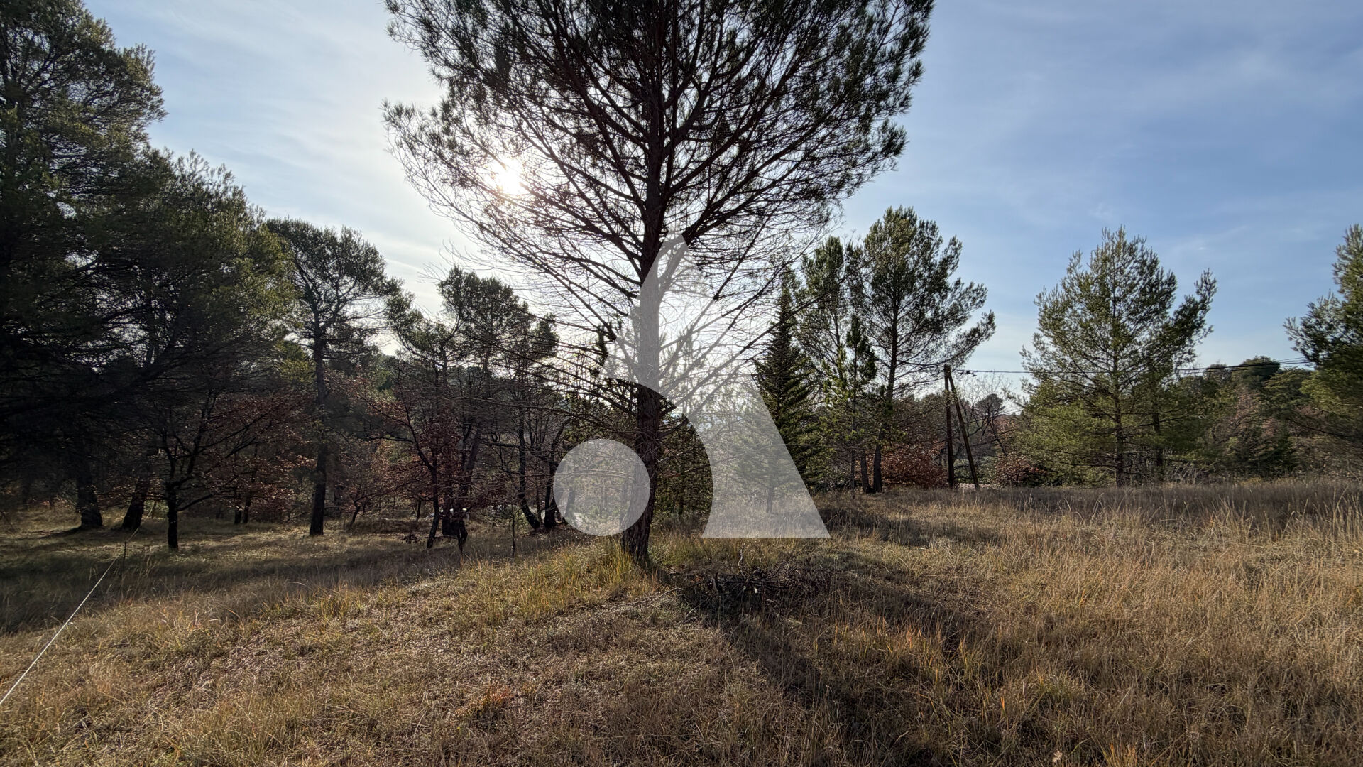 Agence immobilière de Stéphane Plaza Immobilier Manosque