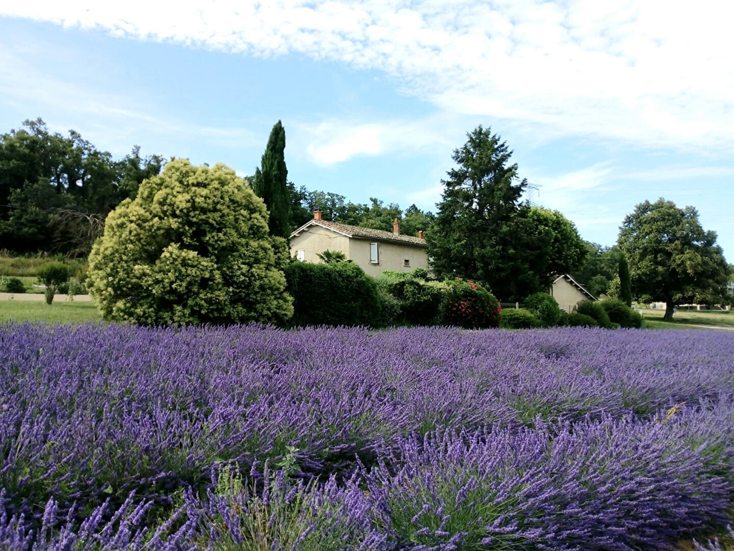 MAISON STYLE  PROVENCALE 167M² AVEC 2 STUDIOS ATTENANTS SUR PARCELLE DE 3 HECTARES ST MARCEL LES VALENCE  26320