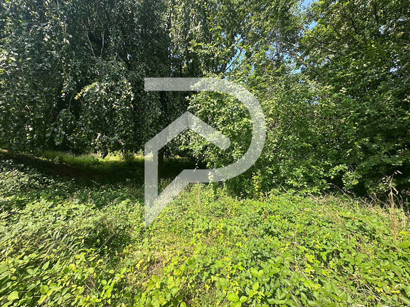 Photo Terrain Montge En Goele 665 m2 image 2/2