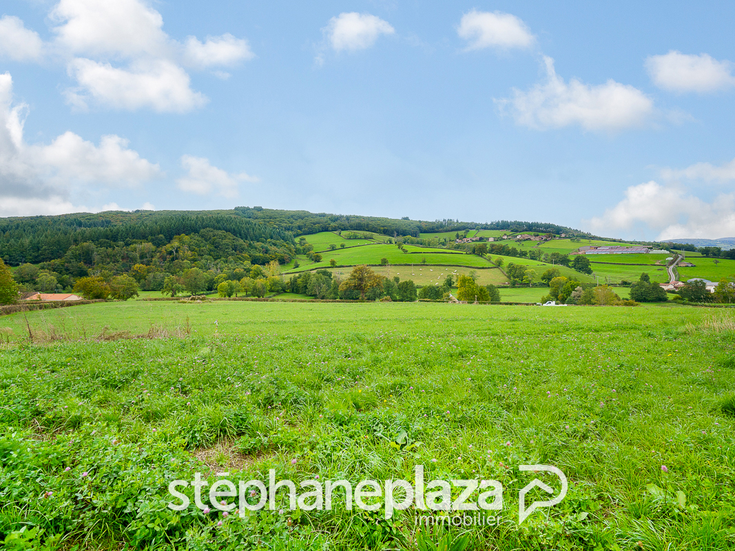 Agence immobilière de Stéphane Plaza Immobilier Mâcon