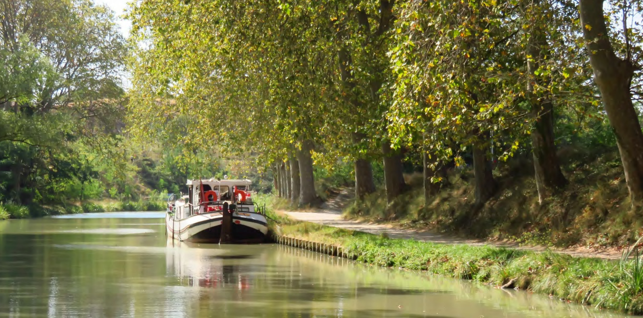 Photo IDEAL INVESTISSEUR T2 de 39m²  PLEIN SUD + 32m²  D'EXTÉRIEUR + STATIONNEMENT image 2/6