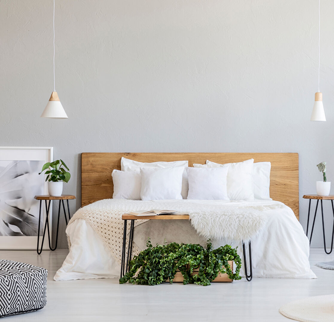 Photo BEAU T3 DE 67M2 + TERRASSE DE 20M2 image 3/5