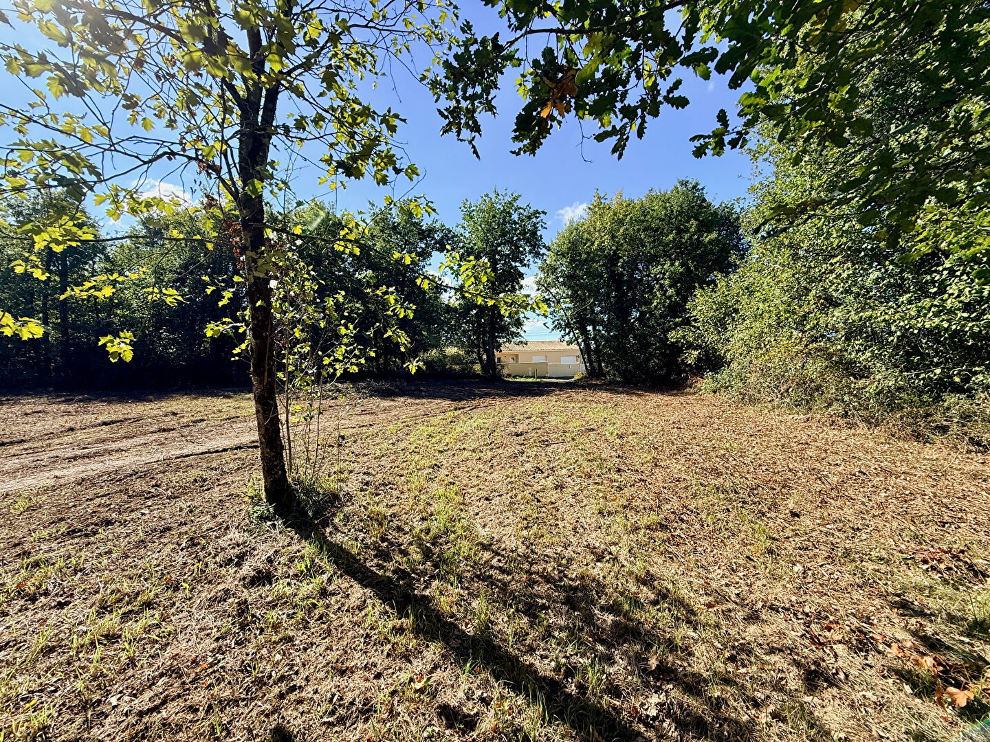 Photo Terrain Dirac 1943 m2 à bâtir image 2/6