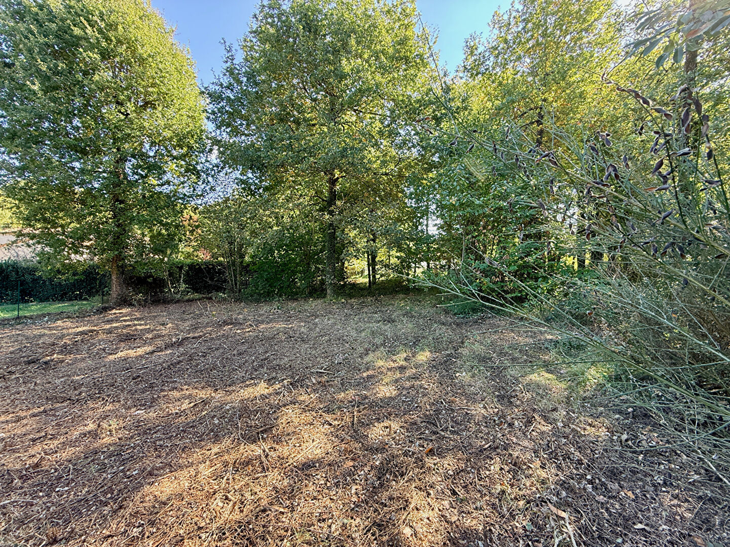 Photo Terrain Dirac 1943 m2 à bâtir image 5/6