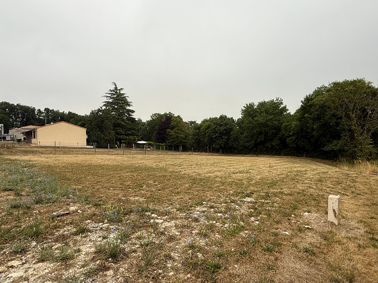 Agence immobilière de Stéphane Plaza Immobilier Angoulême