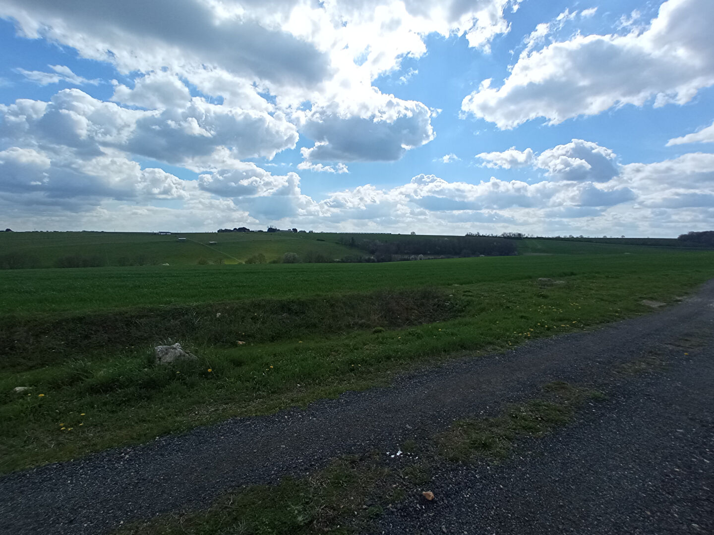 Photo Rare - Terrain à Bâtir 916m² - Viabilisé image 4/4