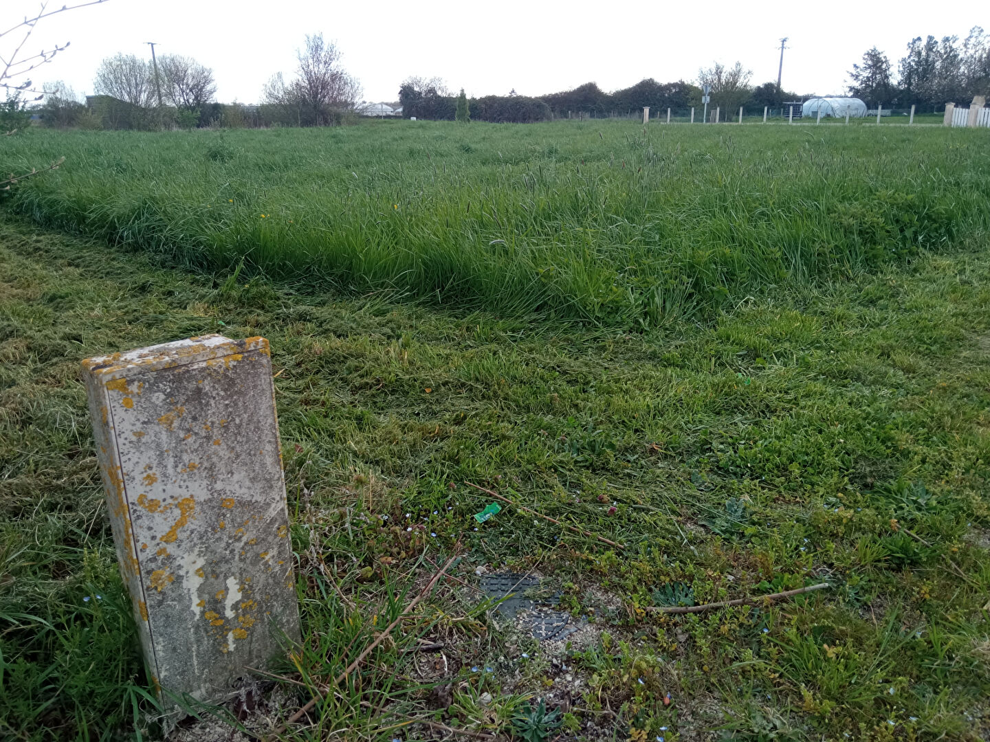 Photo Rare - Terrain à Bâtir 1310m² - Viabilisé image 2/3