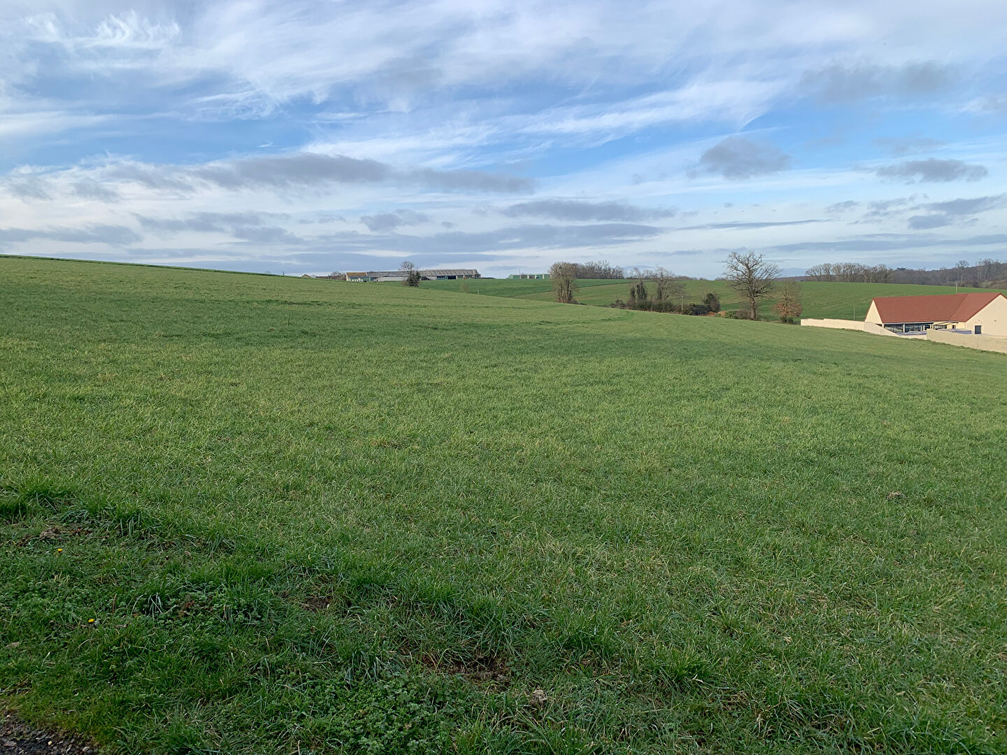 Beau terrain de 12944 m² à vendre à BUSLOUP ....