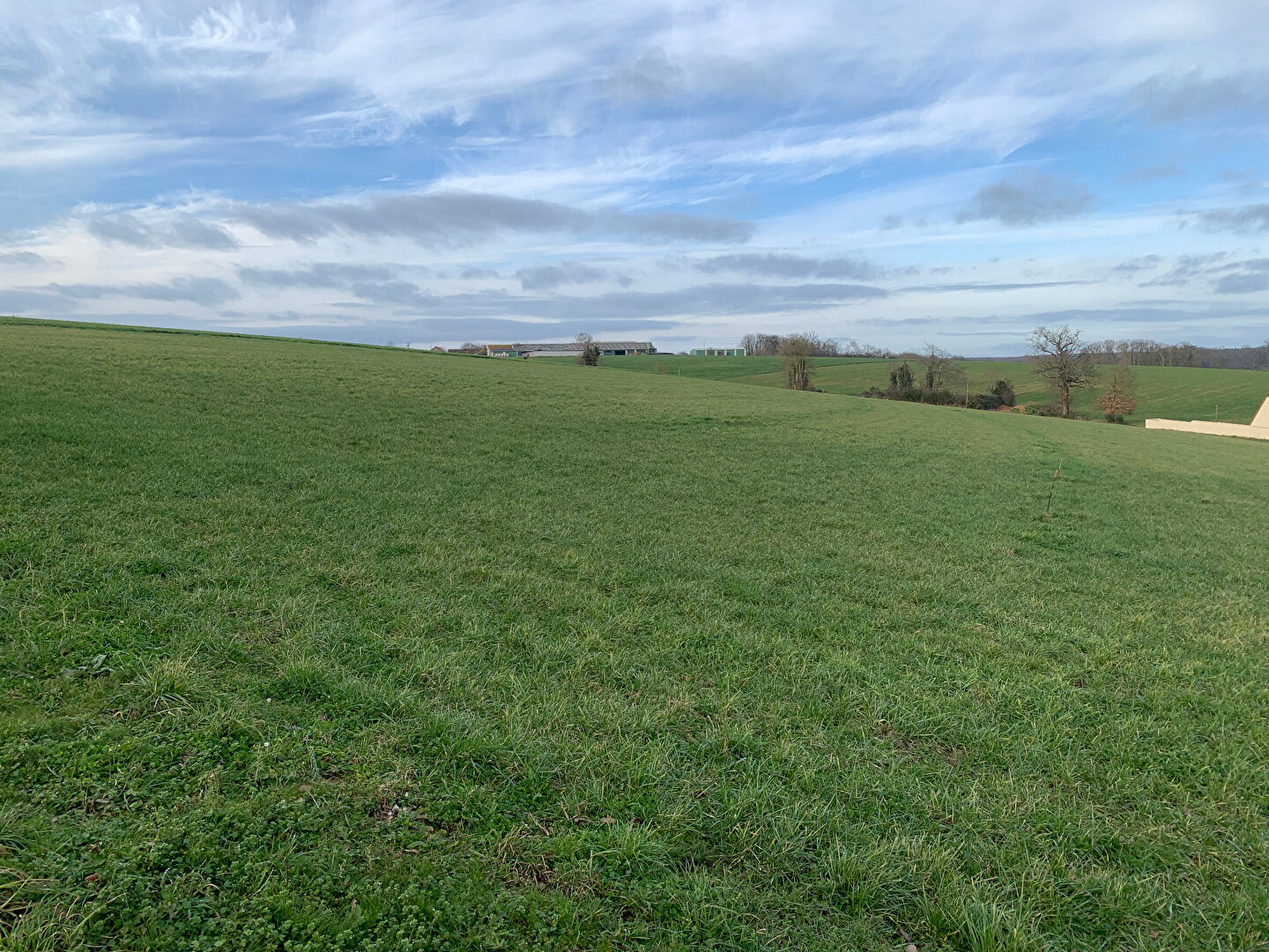 Photo Beau terrain de 12944 m² à vendre à BUSLOUP .... image 2/6