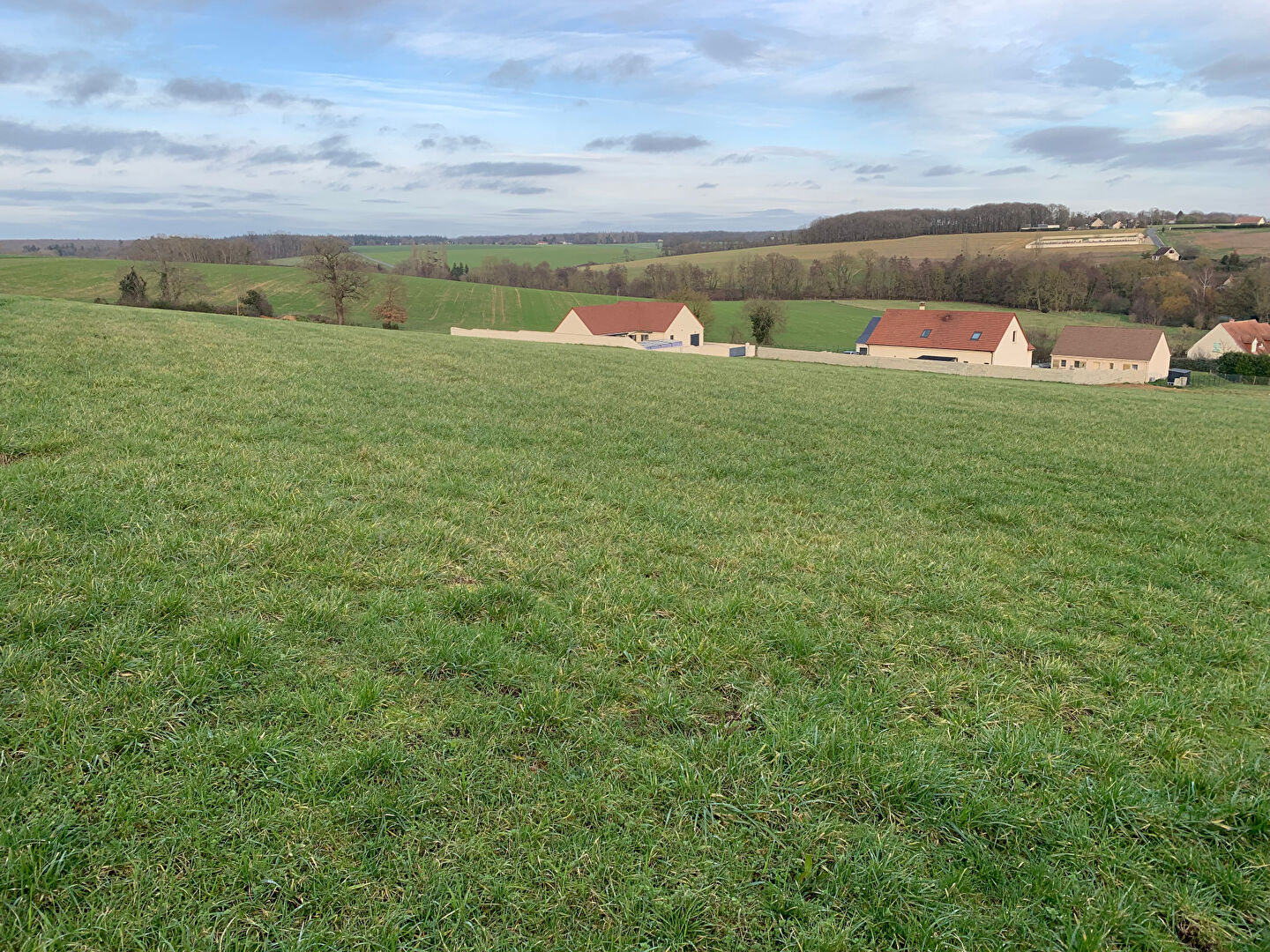 Photo Beau terrain de 12944 m² à vendre à BUSLOUP .... image 4/6