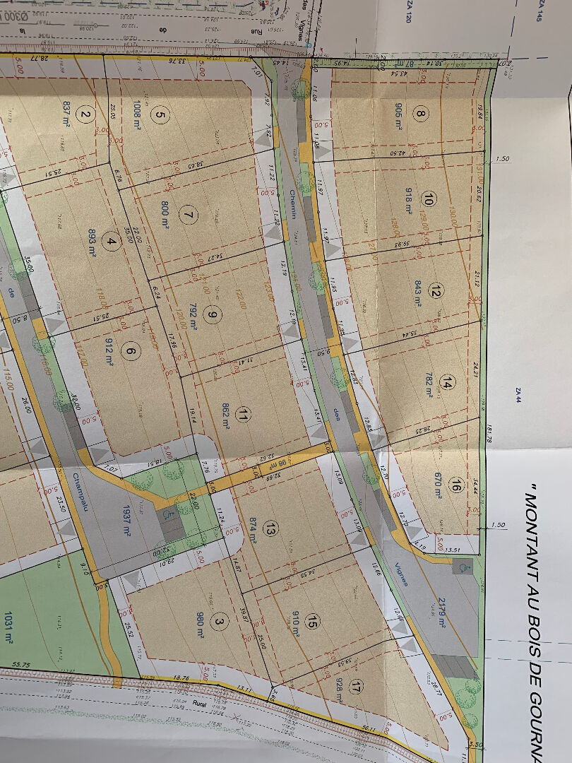 Photo Beau terrain de 12944 m² à vendre à BUSLOUP .... image 5/6