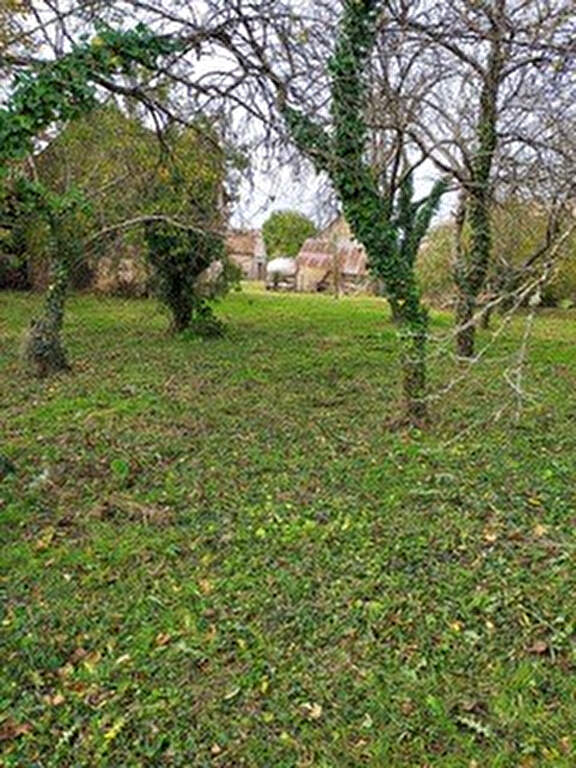 Photo Terrain de 1189 m² sur la commune de Crucheray image 2/6
