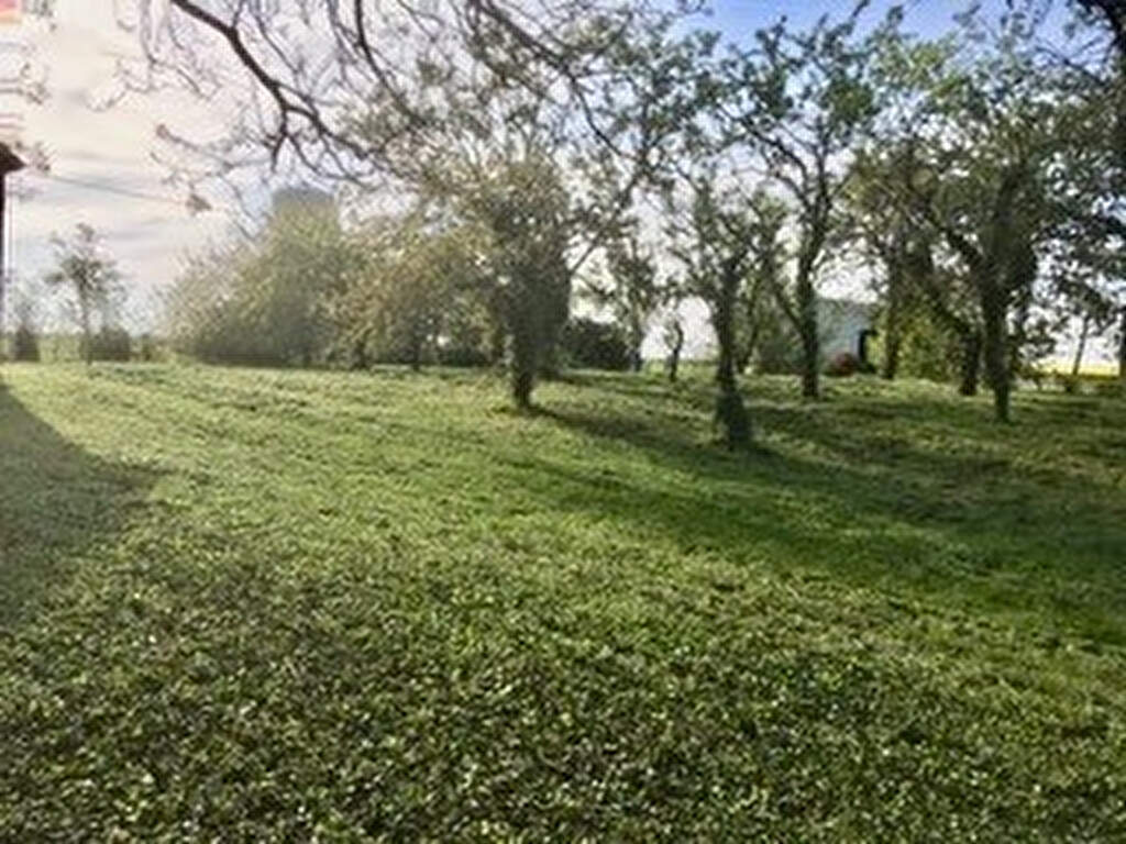 Photo Terrain de 1189 m² sur la commune de Crucheray image 3/6