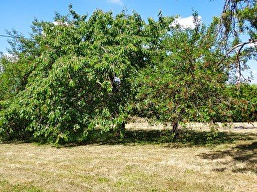 Photo Terrain de 1189 m² sur la commune de Crucheray image 6/6