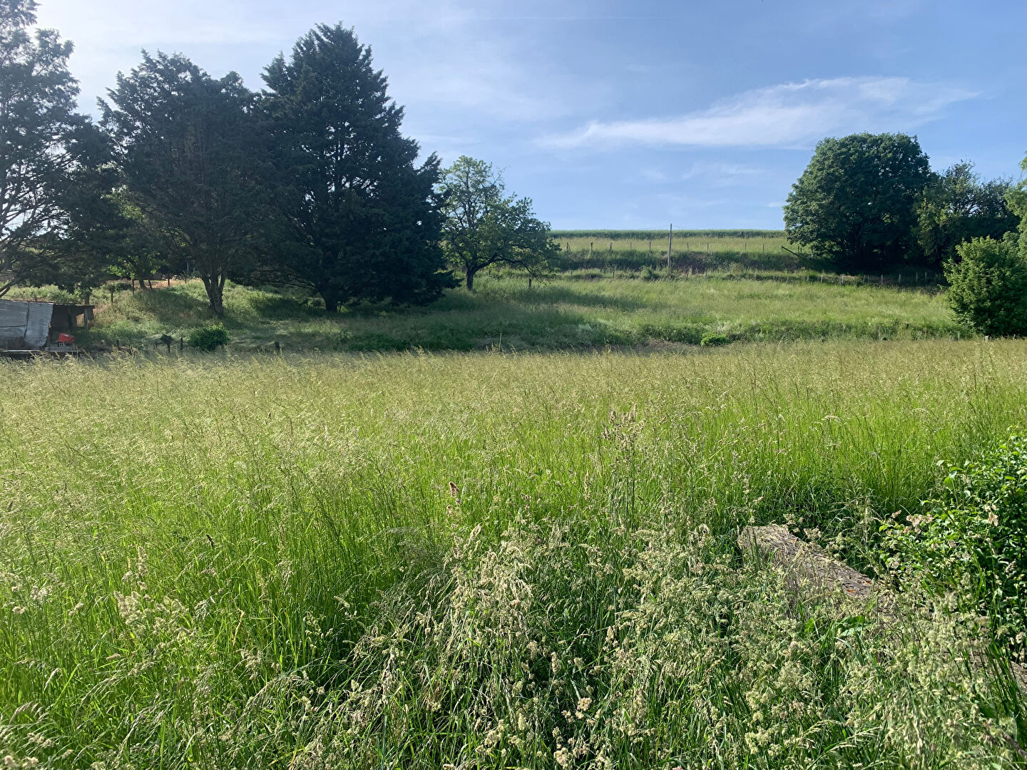 Photo Très beau terrain à bâtir à Lunay.... image 1/6