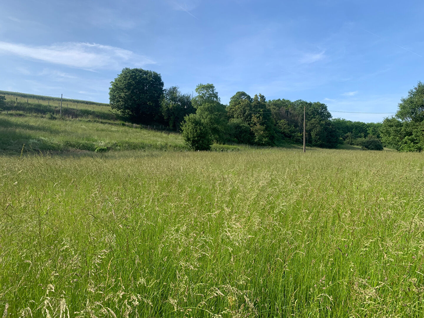 Photo Très beau terrain à bâtir à Lunay.... image 2/6