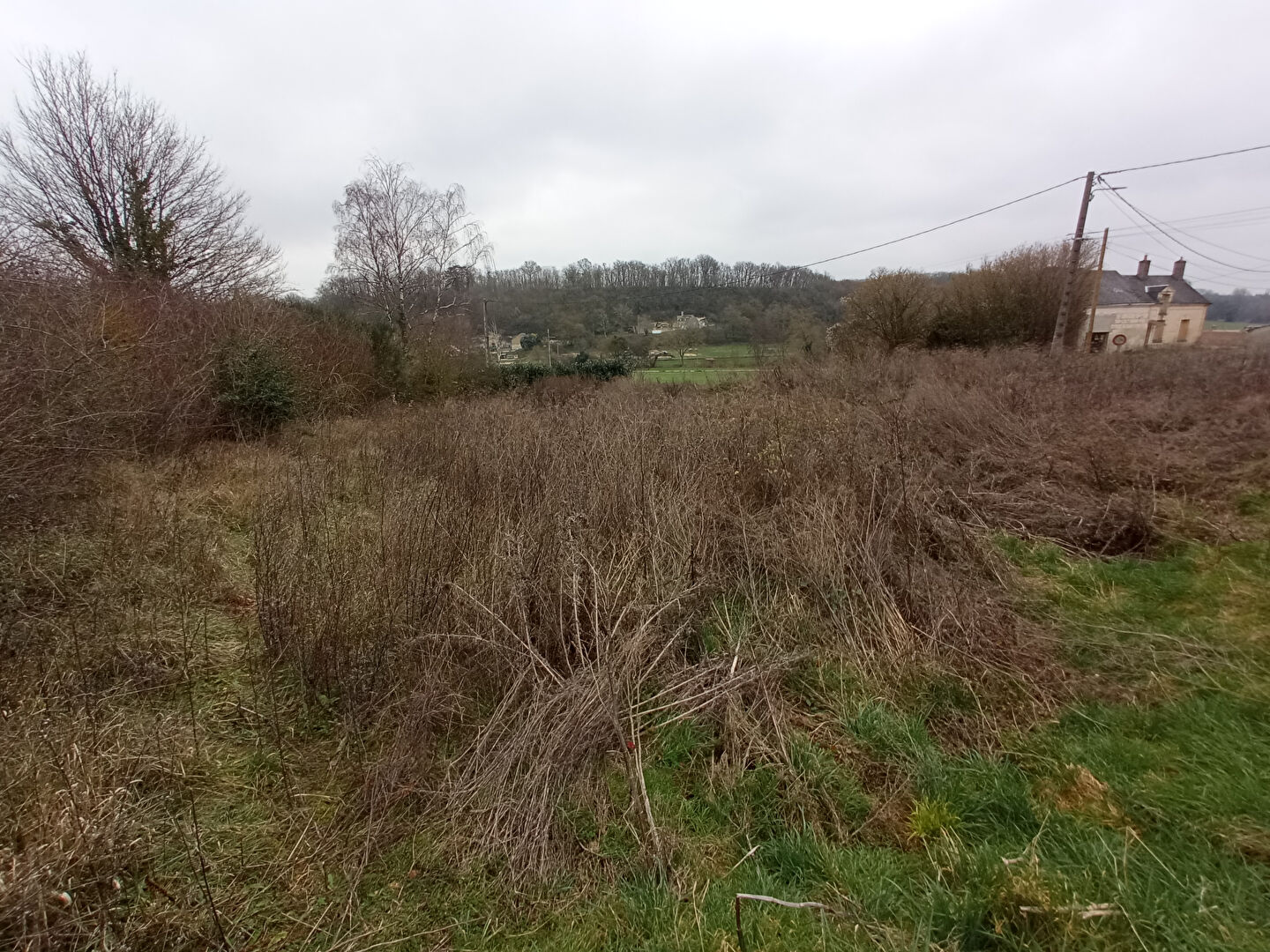Photo Terrain à bâtir de 2783 m2 - Axe Vendôme / Montoire sur le Loir image 5/5