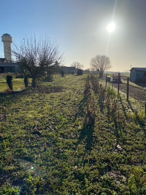 Photo Terrain constructible Crucheray 620 m2 image 3/3