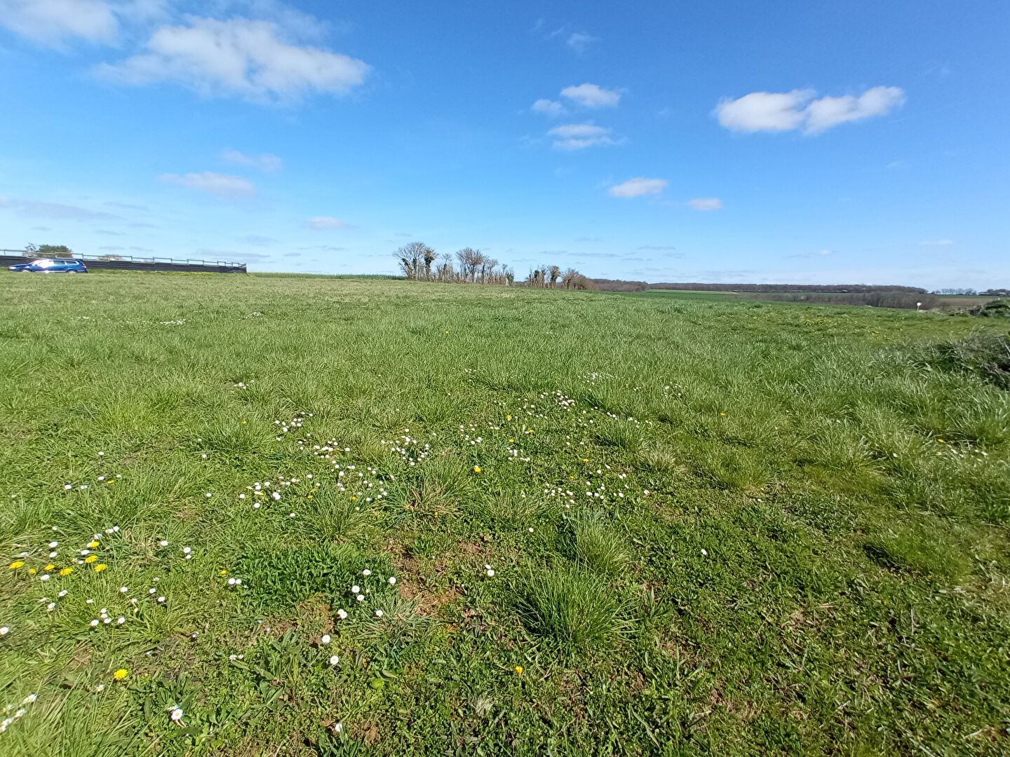 Photo Rare - Terrain à bâtir 770 m2 - Viabilisé image 4/5