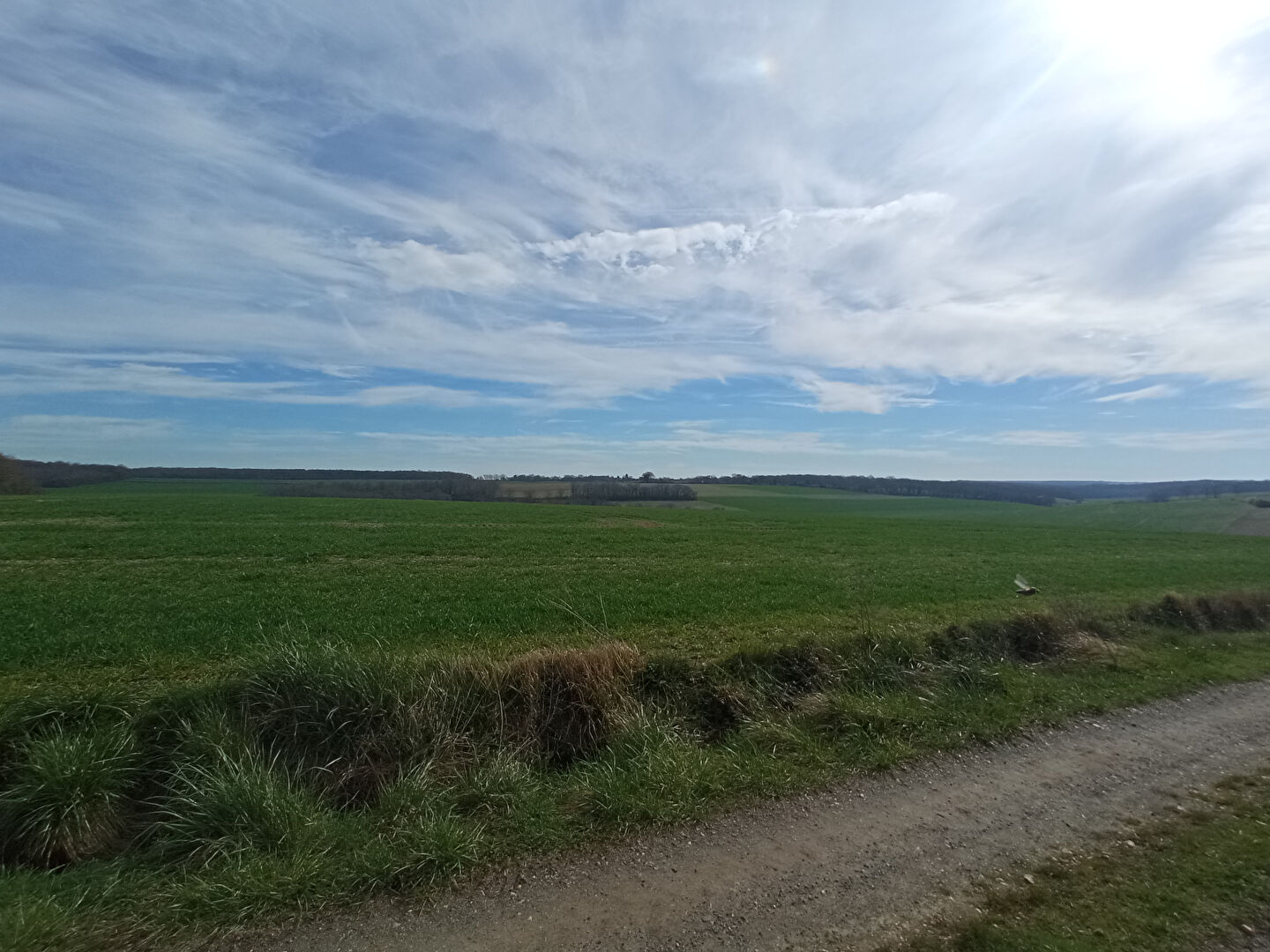 Photo Rare - Terrain à bâtir 770 m2 - Viabilisé image 5/5