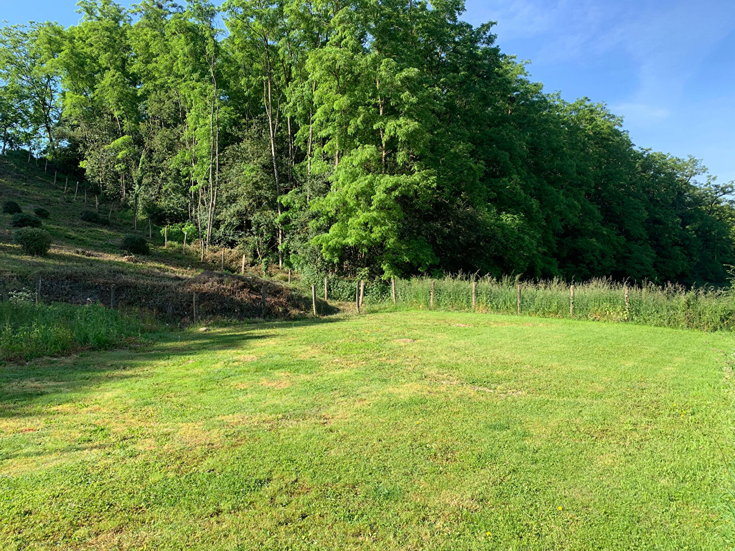 Photo Beau terrain à bâtir sur Naveil de 1117 m2 image 1/5