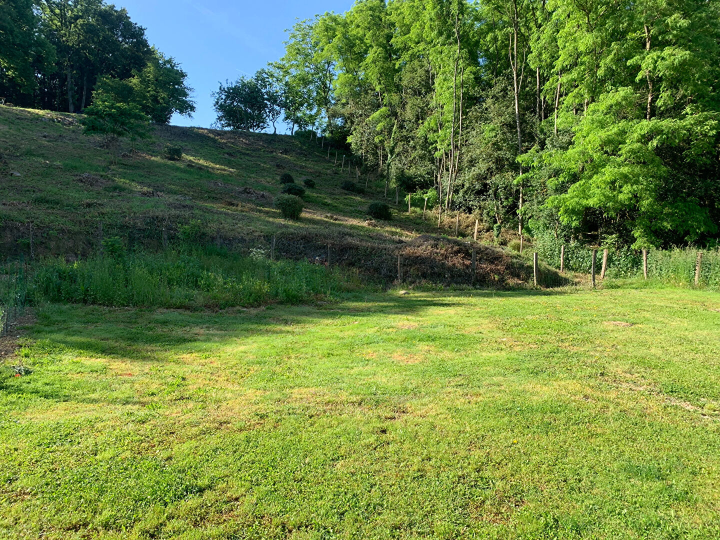 Photo Beau terrain à bâtir sur Naveil de 1117 m2 image 2/5