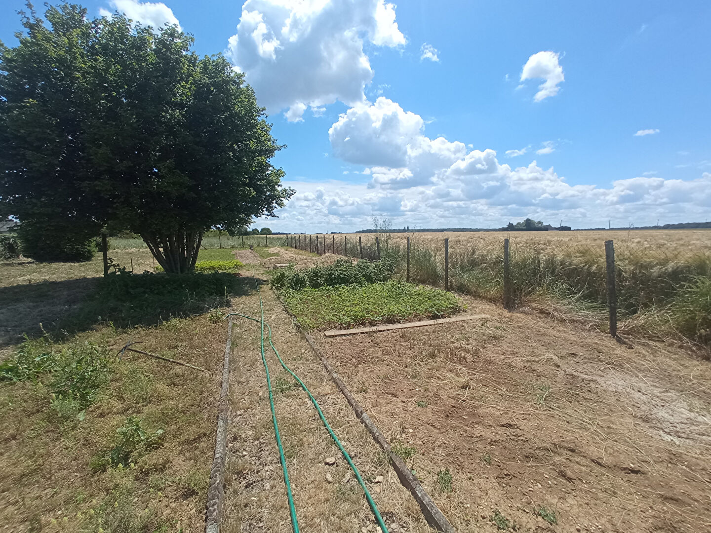 Photo Terrain constructible proche Vendôme - 640m² image 5/6